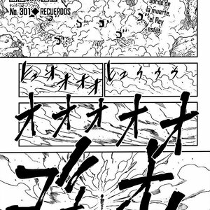 Hunter X Hunter Capitulo 301 Leer Manga En Linea Gratis Espanol